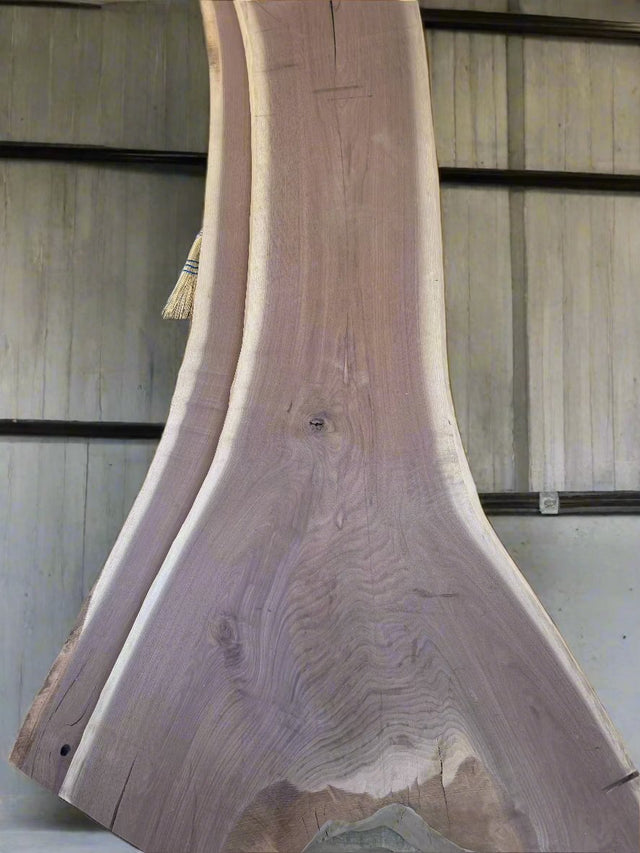 Walnut Slabs